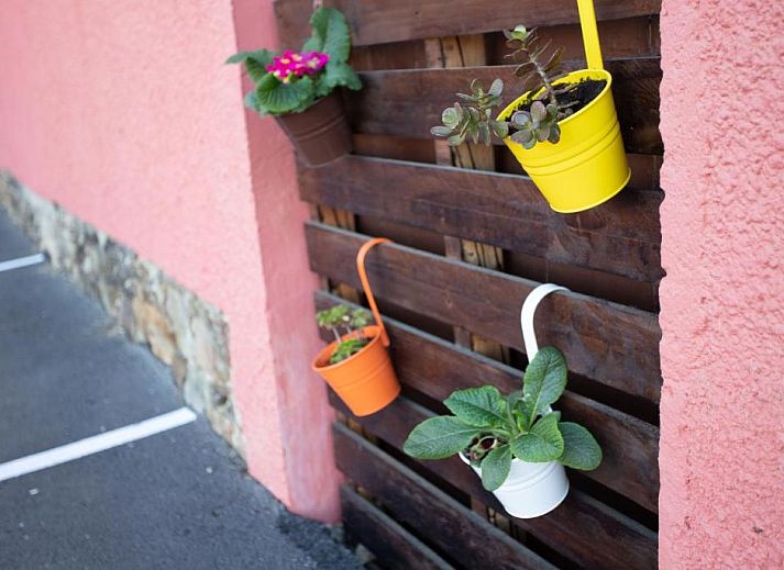 Verblijf 62721101 - Vakantiewoning Het groene Spanje - Casa Rural Ofelia