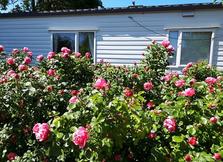 Verblijf 6601206 - Chalet Schouwen-Duiveland - Chalet Sunrise met prive strandtuin