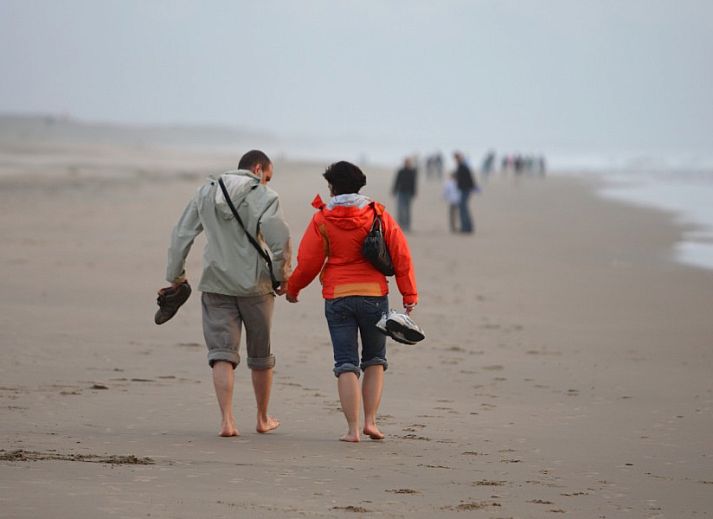 Guest house 6801294 - Chalet Noordzeekust - Boerderij Puik en Duin Noordwijk 