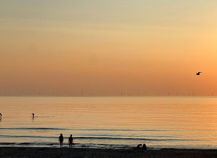 Guest house 6801294 - Chalet Noordzeekust - Boerderij Puik en Duin Noordwijk 