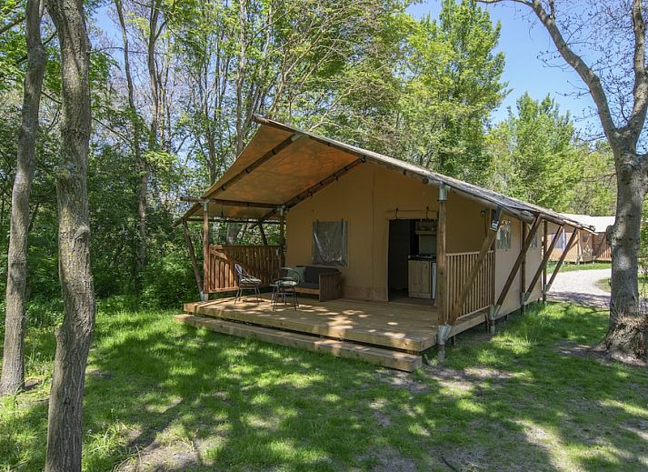 Guest house 680414 • Tent house Noordzeekust • Safaritent 4