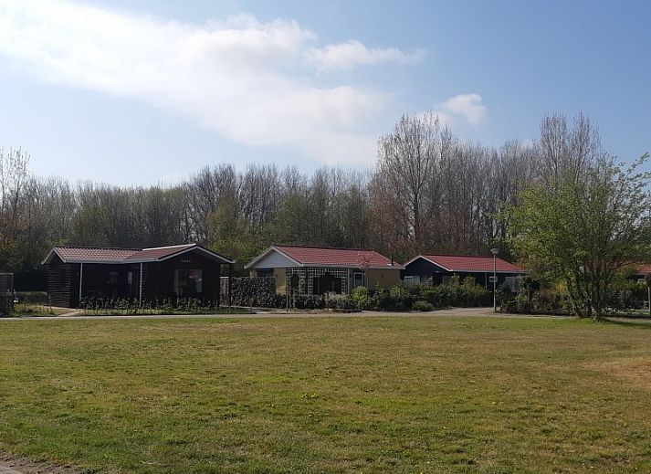 Landschappelijk aangelegde tuin bij Pinquin 31 vakantiehuis in Rockanje, met siergrassen en privacy in Voorne Putten, Zuid-Holland.