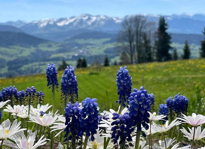 Verblijf 8311807 - Vakantiewoning Vorarlberg - Pension Bilgeri