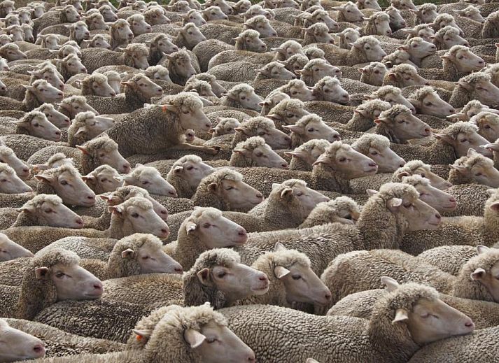 Verblijf 9627202 - Vakantiewoning West-Kaap - Skeiding Guest Farm