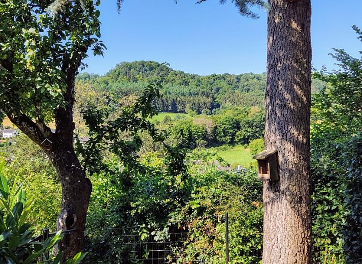 Vakantiehuis Zonneheuvel in Daun, Eifel met prachtig uitzicht op groene heuvels en bossen.