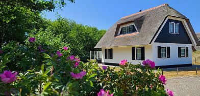Guest house 0403198 • Holiday property Ameland • Sartorius 