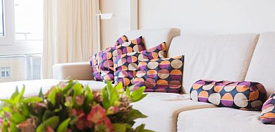Guest house 113308 • Apartment Belgian Coast • Le Sealex - 4* cosy, spacieux ,50 m de la plage et du centre 