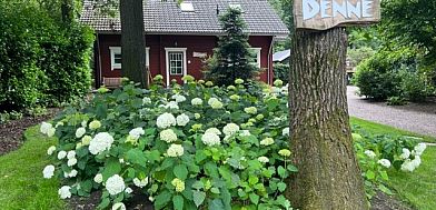 Unterkunft 325914 • Ferienhaus Veluwe • Boshuis Denne 