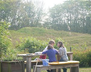 Guest house 01011021 - Bungalow Texel - 619