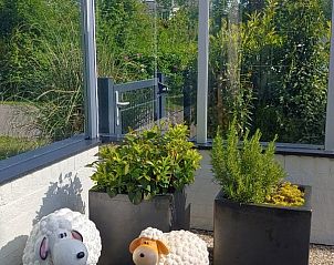 Guest house 01011037 - Holiday property Texel - De Lepelaar