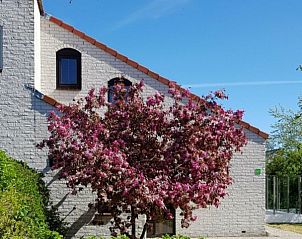 Unterkunft 01011038 • Bungalow Texel • Ferien-Perle 