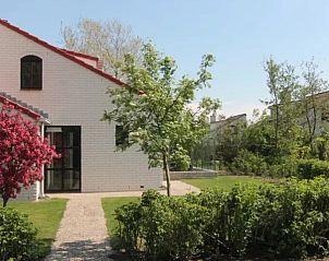 Guest house 01011038 - Holiday property Texel - Ferien-Perle