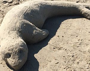 Guest house 01011047 - Special overnight stays Texel - Bed en Beach Wadbijzonder