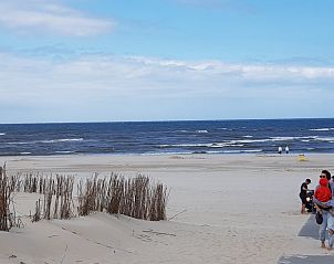 Guest house 01011056 - Holiday property Texel - Ferienperle