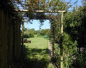 Guest house 010131 - Holiday property Texel - ganzenvlucht