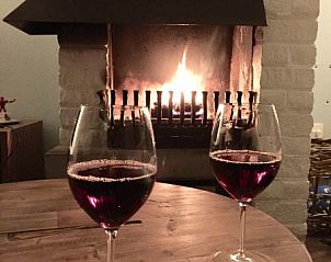 Guest house 010135 - Holiday property Texel - Het Zonneveld