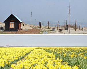 Guest house 010172 - Bungalow Texel - Teenstrapad