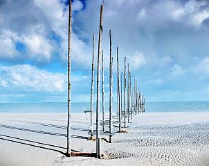 Guest house 0102128 - Holiday property Texel - Hoog Koog 23A