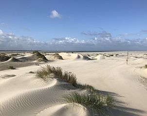 Guest house 010236 - Holiday property Texel - De Prins / Jonker / Jonkvrouw