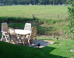 Guest house 010260 - Holiday property Texel - huisje 149