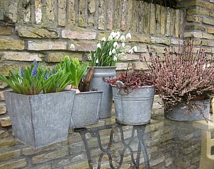 Guest house 010510 - Bungalow Texel - Lage Achterom 16