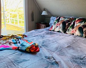 Guest house 010692 - Holiday property Texel - 't Kaaps Huussie