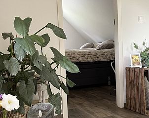 Guest house 010762 - Bed and Breakfast Texel - B&B de witte punt Texel