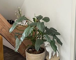 Guest house 010762 - Bed and Breakfast Texel - B&B de witte punt Texel