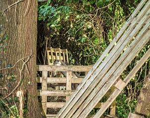Bosrijke omgeving bij Plokkersheem vakantiehuis in Watou, West-Vlaanderen, Belgi