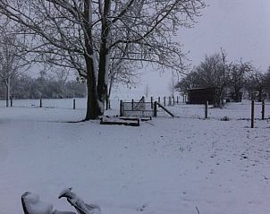 Guest house 0115003 - Holiday property West Flanders - Vakantiehuis in Pittem