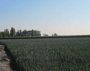 Guest house 0115003 - Holiday property West Flanders - Vakantiehuis in Pittem