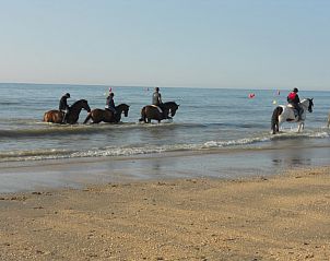 Paardrijden langs de kust bij Duinendaele aan zee vakantiehuis, Adinkerke - De Panne, Belgische kust.