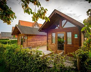 Charmante houten lodges bij De Bosgeus vakantiehuis in Nieuwkerke, West-Vlaanderen omringd door groen.