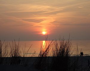 Guest house 011702 - Holiday property Texel - Villata, Villapark Residentie Texel