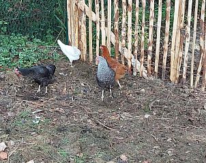 Verblijf 0125801 - Vakantiewoning West-Vlaanderen - De Geestigaard