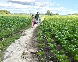 Unterkunft 0131202 - Ferienhaus Westflandern - Vakantiehuisje in Voormezele