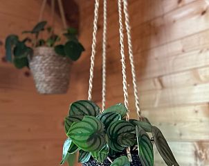 Unterkunft 0131202 - Ferienhaus Westflandern - Vakantiehuisje in Voormezele