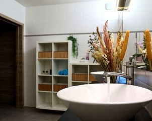 Moderne badkamer met stijlvolle wastafel in Vakantiewoning Huis Huwyn, Lichtervelde, West-Vlaanderen.