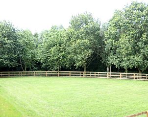 Uitgestrekt grasveld omringd door bomen bij Vakantiewoning Huis Huwyn, Lichtervelde, perfect voor buitenactiviteiten.