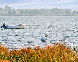 Verblijf 0152806 - Vakantiewoning Zuid-Denemarken - Vakantiehuis 