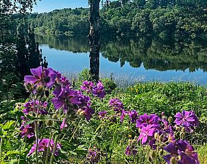 Guest house 0183401 - Holiday property Central Jutland - Holiday home in Bryrup