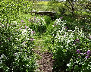 Verblijf 01916701 - Vakantiewoning Nedersaksen - Vakantiehuis in Syke