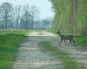Verblijf 01931201 - Vakantiewoning Nedersaksen - Vakantiehuis in Lindloh (Haren)