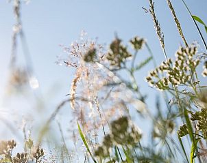 Verblijf 01937201 - Vakantiewoning Nedersaksen - Vakantiehuisje in Vrees