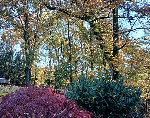 Verblijf 0197104 - Vakantiewoning Nedersaksen - Vakantiehuisje in Uelsen