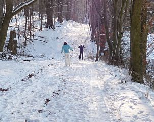 Weserbergland-fewo Gabriel in Bodenwerder offers a winter hiking experience in the snowy forest of Lower Saxony.