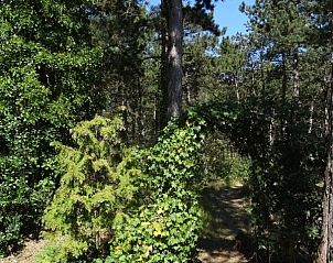 Guest house 020127 - Holiday property Vlieland - Studio Arma