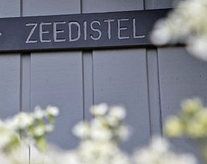 Guest house 020138 - Holiday property Terschelling - Zeedistel