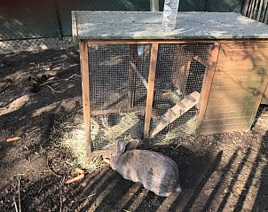 Guest house 020402 - Holiday property East Flanders - Bvba kitty