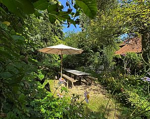 Schaduwrijke tuin met picknicktafel bij Wingerd, vakantieaccommodatie in Vlaamse Ardennen, Oost-Vlaanderen, Belgi.